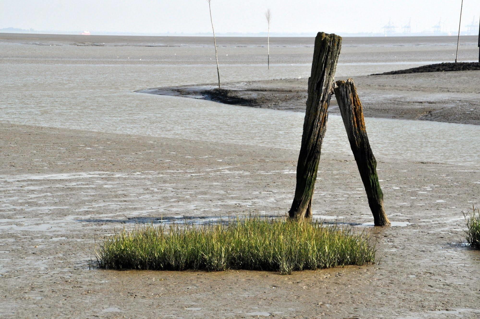 Strand Hotel Nordsee, Hotel Deichlaeufer Tossens Eksteriør billede